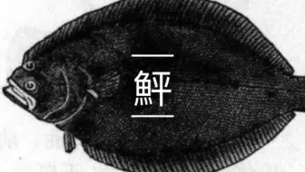 日料刀工系列 鲆鱼 比目鱼 平目 刺身分解 哔哩哔哩 Bilibili