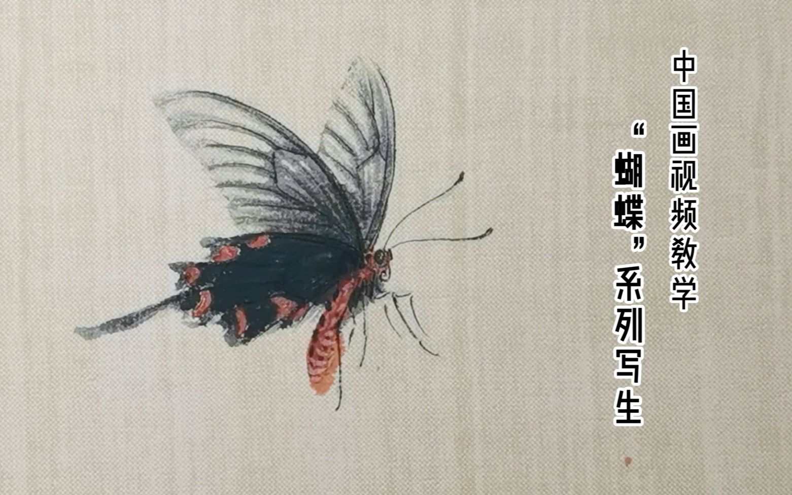 [图]“蝴蝶”写生详解【国画工笔草虫学习】