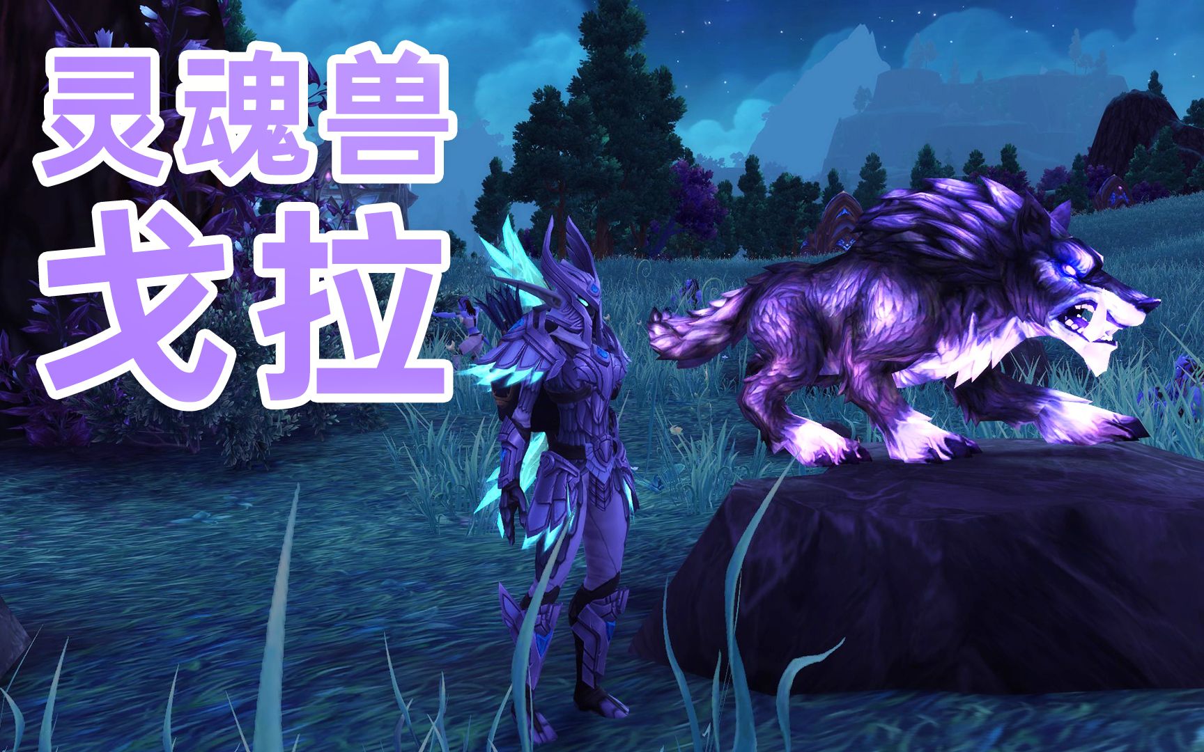 《WOW魔兽世界》猎人解谜宠物灵魂兽戈拉.网络游戏热门视频