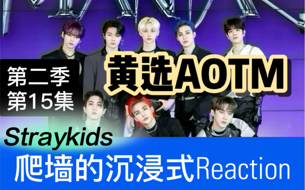 【Straykids】S2.15 首页乱看系列!一群爬墙粉的沉浸式陪伴Reaction!午夜场+黄选AOTM哔哩哔哩bilibili