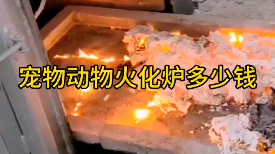 宠物动物火化炉多少钱#动物焚化炉#宠物火化炉#动物宠物焚烧炉