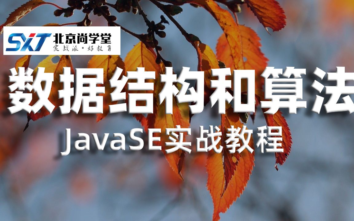 JavaSE数据结构和算法教程Java系列技术之数据结构与算法视频教程二叉查找树、二叉平衡树和红黑树的概念数据结构和算法实战哔哩哔哩bilibili