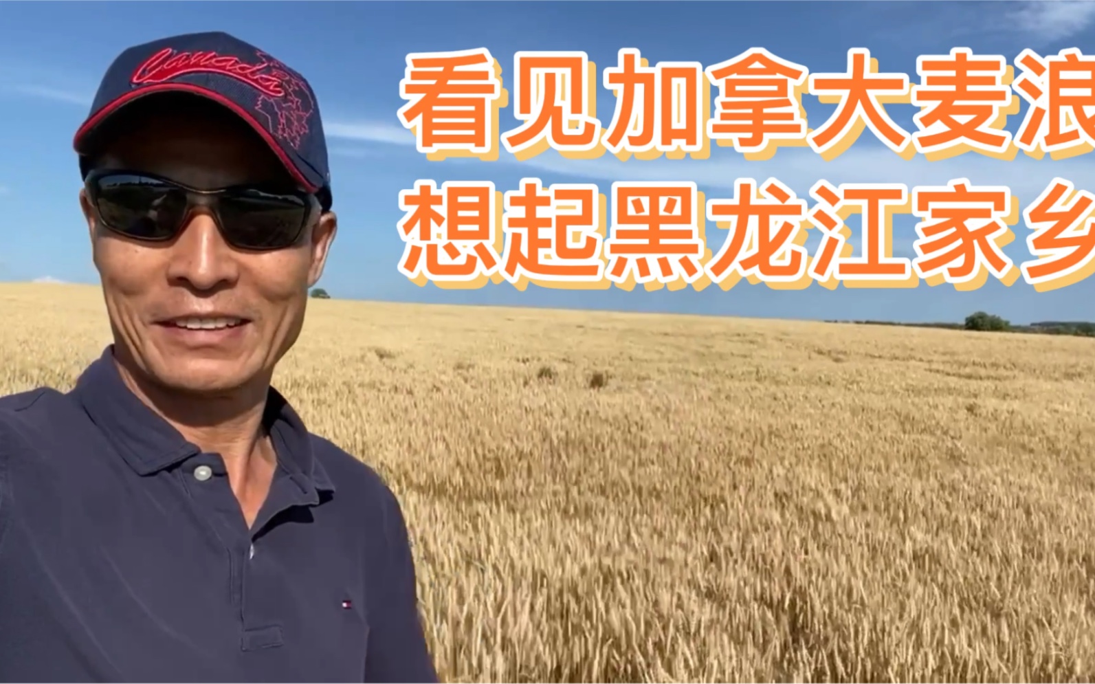 猴哥在多伦多郊外看见金色麦田,想起小时候的家乡_哔哩哔哩_bilibili