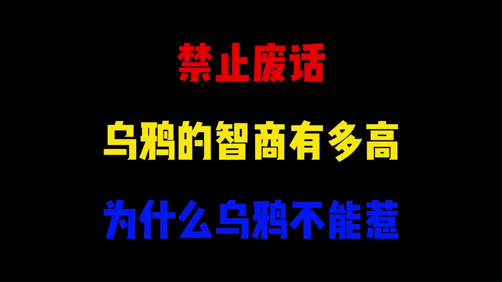 禁止废话:乌鸦的智商有多高?为什么乌鸦不能惹哔哩哔哩bilibili