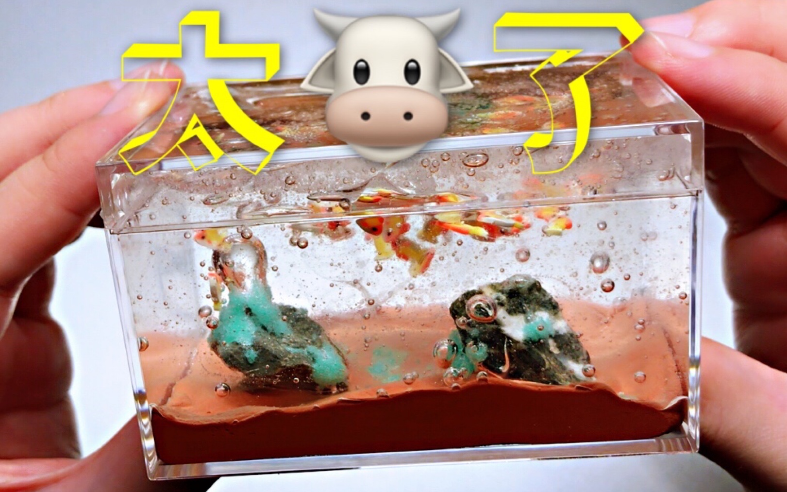 泥po竟是假山造景带师?绝美玩盒up直接白嫖|来自赫赫的免邮送