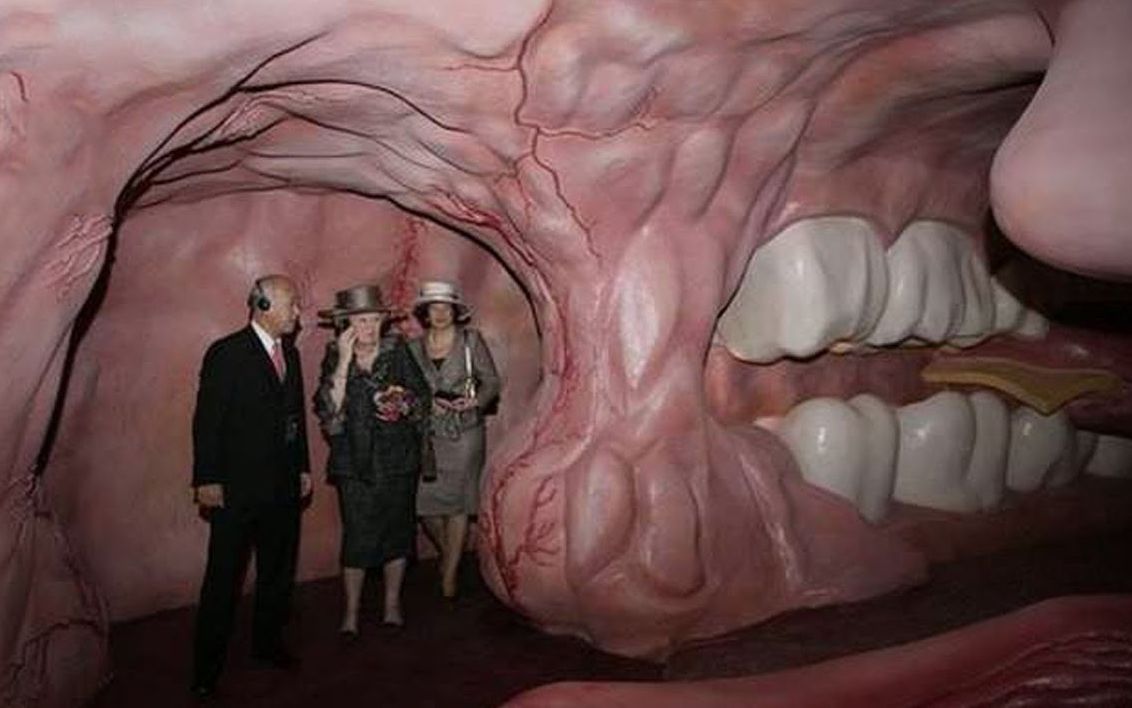 世界上最奇怪的博物馆,重口味食物聚集地,真可怕!