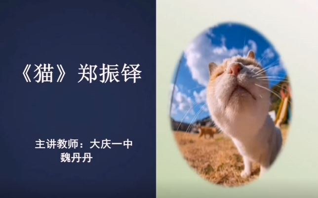 【公开课】《猫 /郑振铎》YW071092,部编版,人教版,统编版,初中,七年级,初一,上册,上学期,(YW语文)哔哩哔哩bilibili