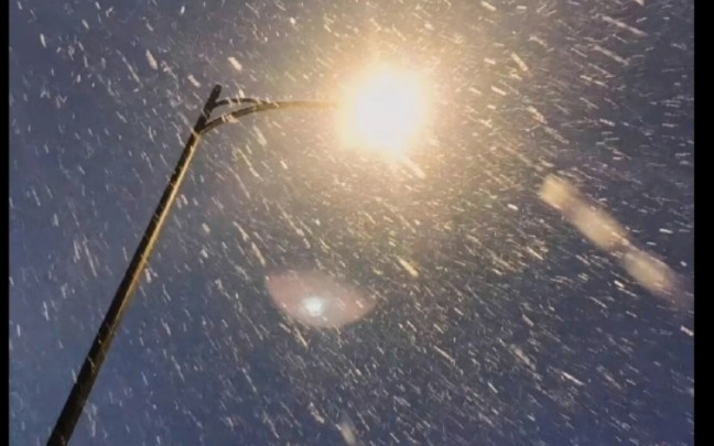 他朝若是同淋雪,此生也算共白头今朝挽手同淋雪,此生注定共白头此生不