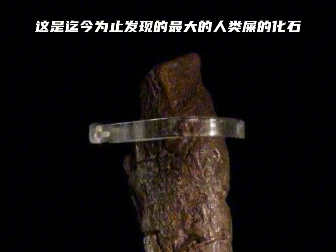 这是迄今为止发现的最大的人类粪便化石,它属于公元9世纪一位生病的维京人,价值约27万人民币,这种巨大的“珍贵”粪便,正式名称为劳埃德银行粪化...