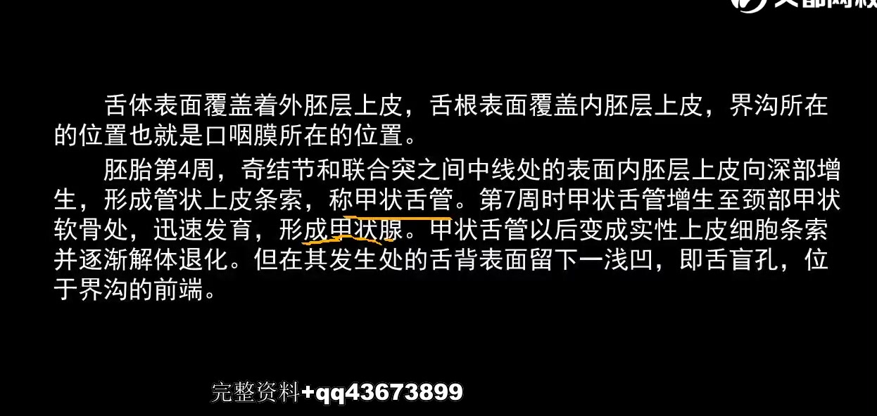 2023年考研专业课复习资料%20口腔医学硕士352口腔综合03哔哩哔哩bilibili