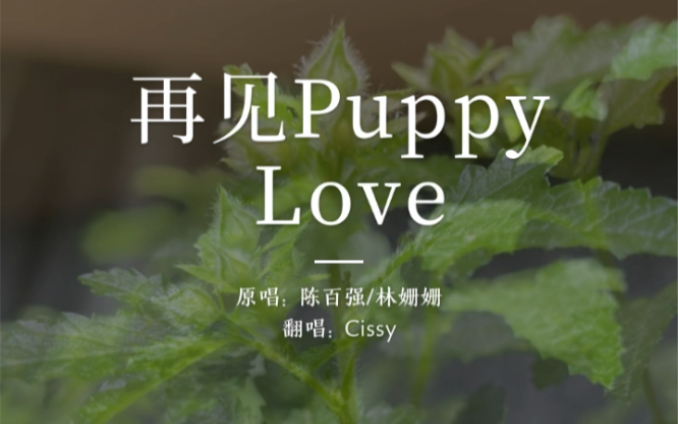 [图]再见Puppy Love：再见陈百强