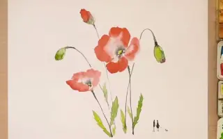 花卉水彩画 哔哩哔哩 Bilibili