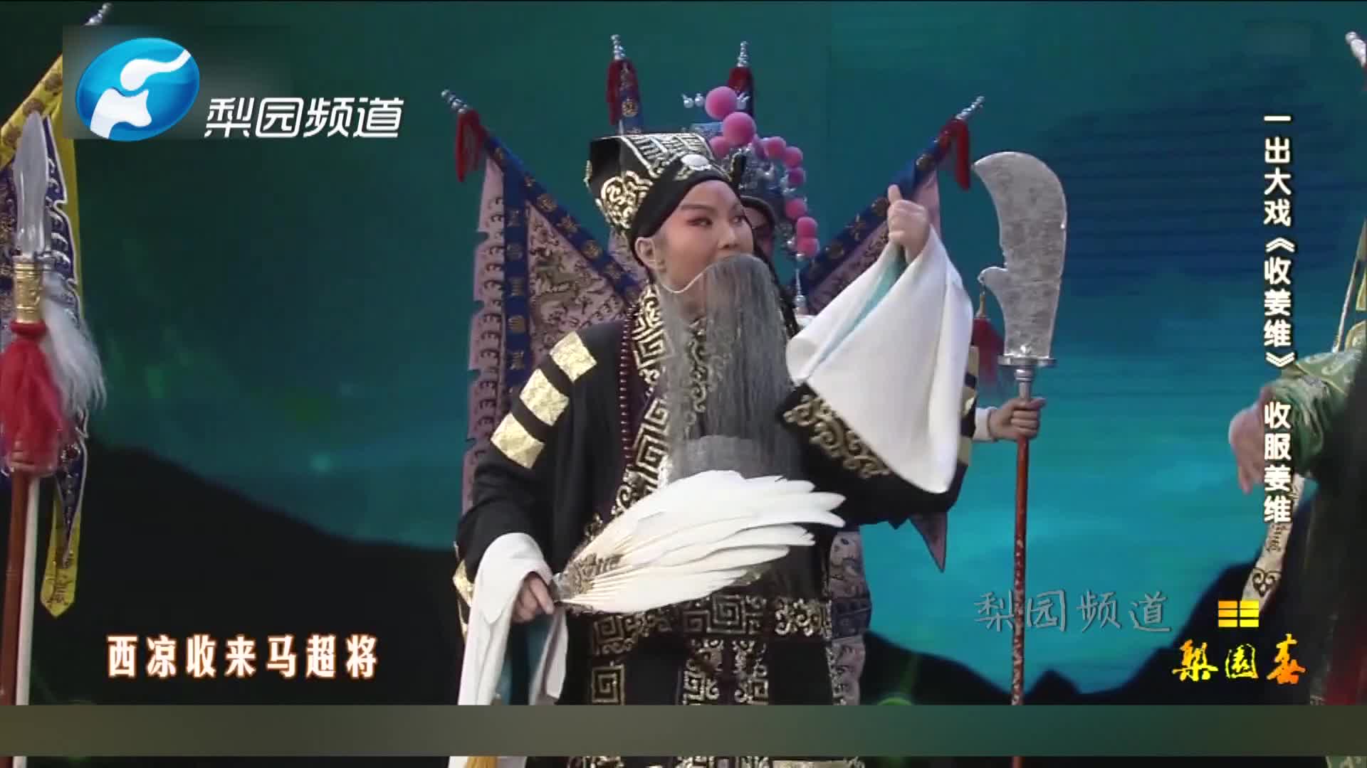 越调 |《收姜维·收服姜维》选段4,表演申小梅,何西良等