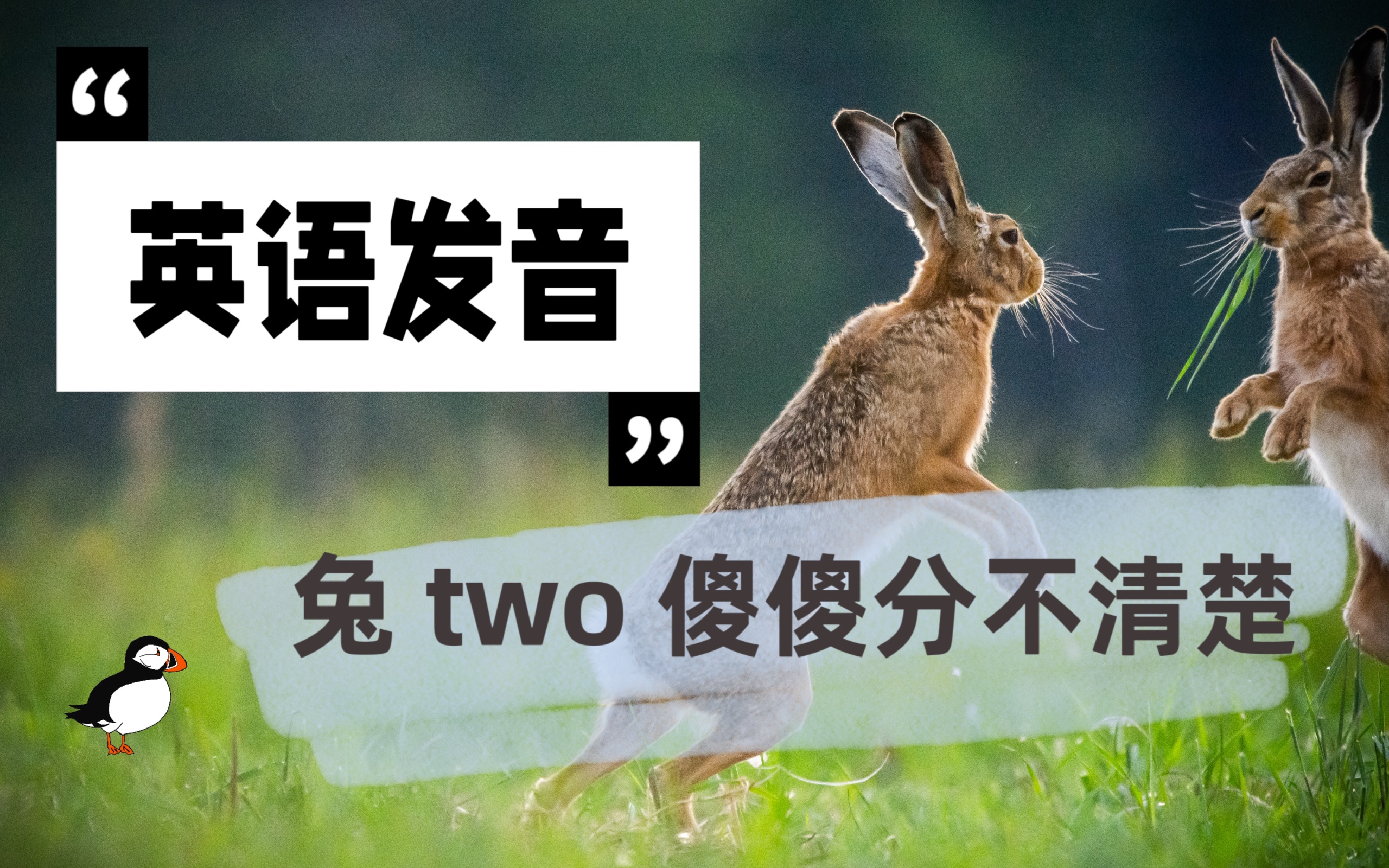 3分钟解决一个中式英语(一):兔two傻傻分不清楚哔哩哔哩bilibili