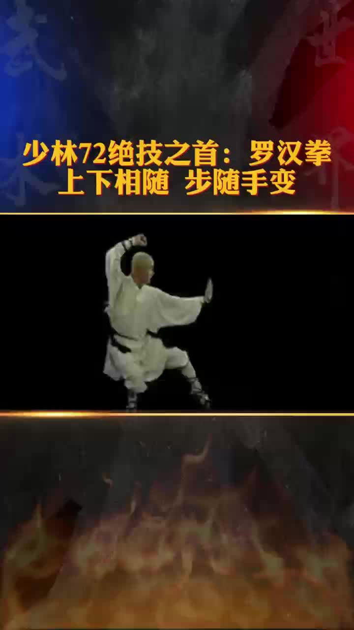 罗汉碎魔拳图片