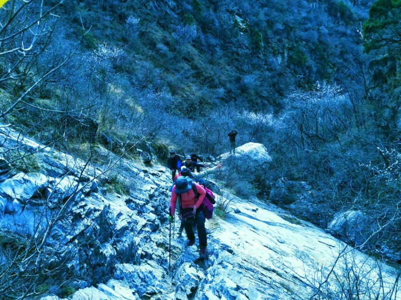 箭扣桃花开,中华盛世来.千载沷墨,铸民族魂魄.强弩划过田仙峪,朝日射寰宇,世间齐书.巨龙腾飞霄汉,俯看大好河山.茫顾四野,谁与比肩?星空…...