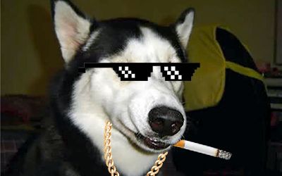 【李锦个人向】uptown funk