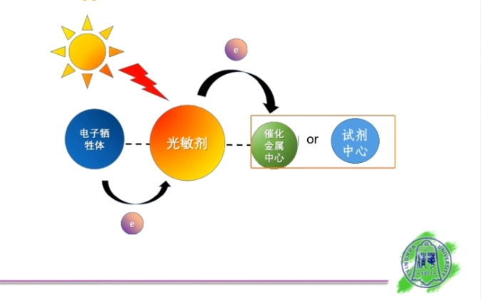 [图]20210327-清华大学席婵娟-光介导二氧化碳参与的羧化反应新进展