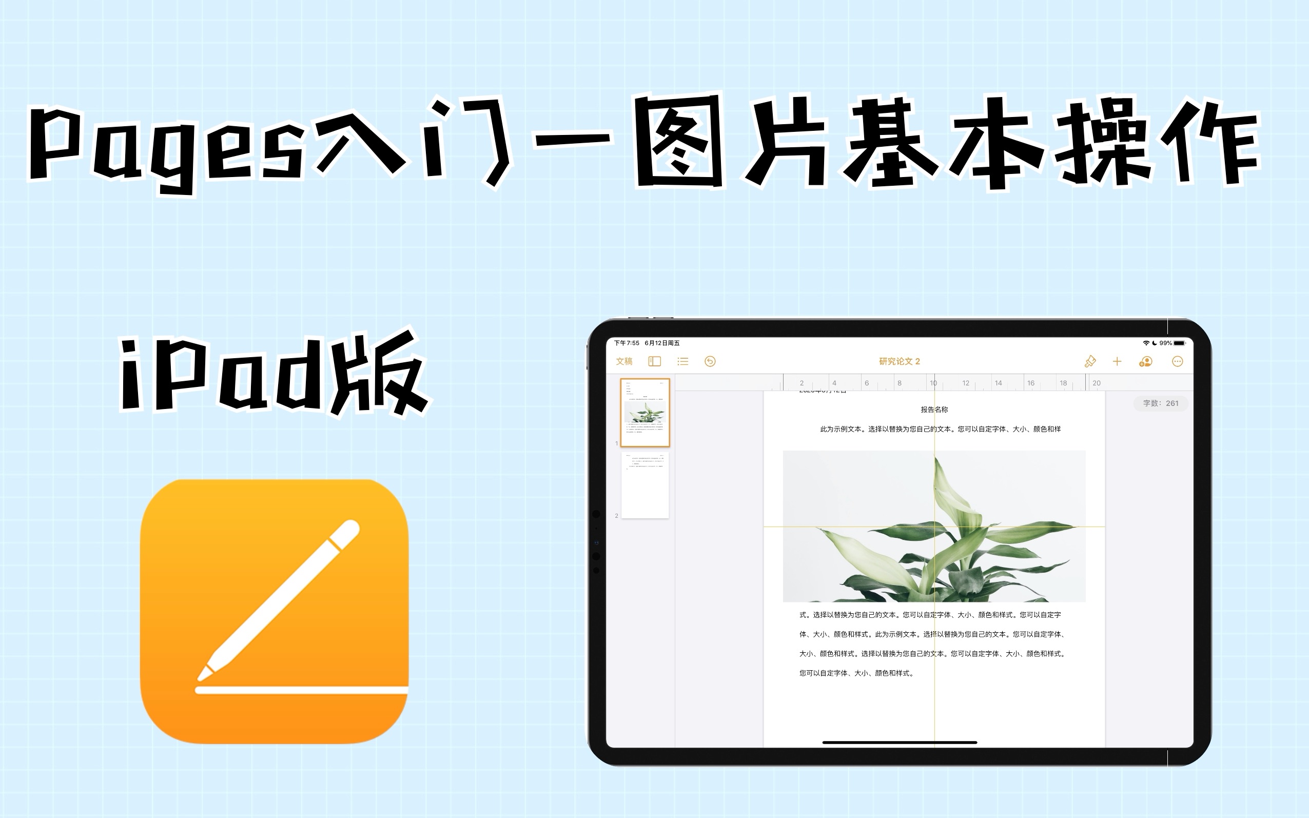 【Pages iPad版】第三节 图片的基本操作哔哩哔哩bilibili