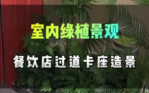 Download Video: 这些绿植有极高的仿真度，不需要养护，浇水或修剪，为火锅店顾客提供一个舒适和安全的用餐环境。#火锅店仿真绿植景观 #餐饮店绿植景观 #过道绿植景观 #角落绿植景观