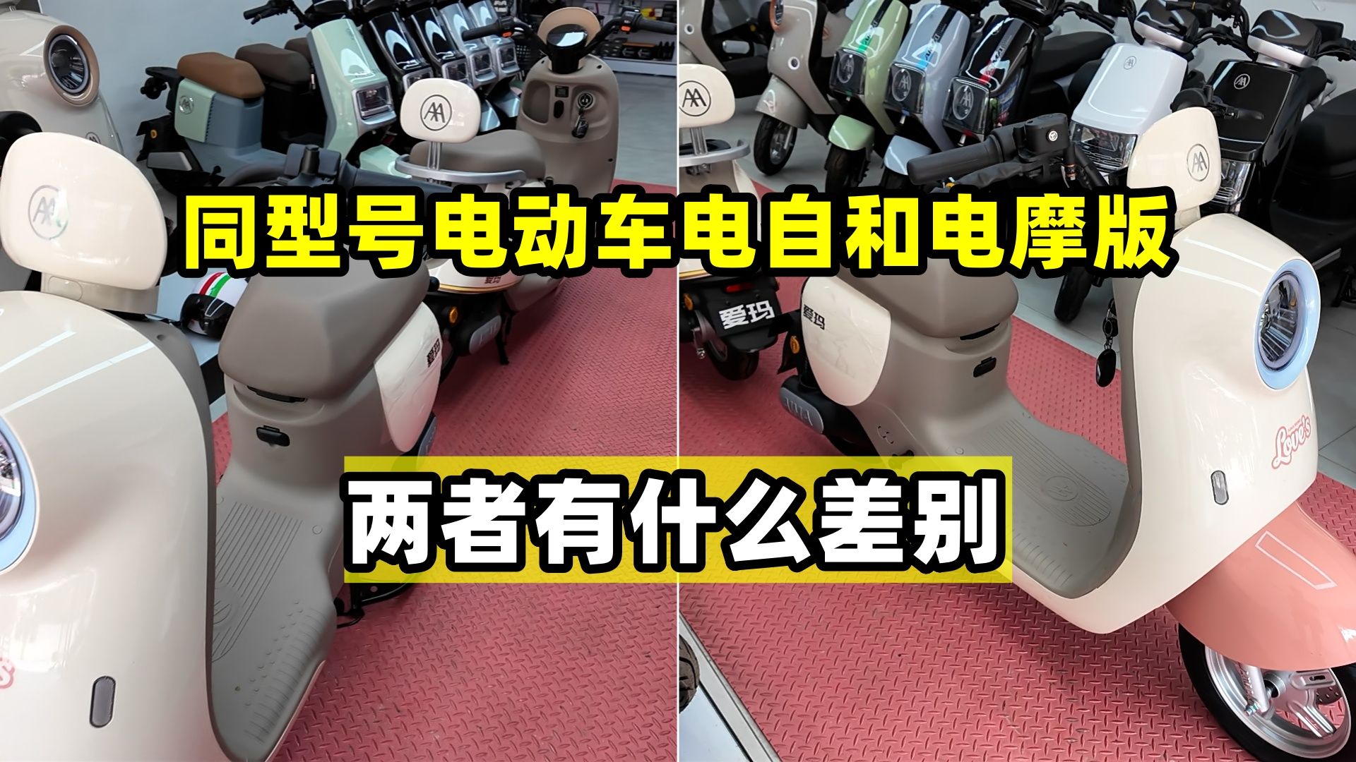 同型号新国标电动车，电自版和电摩版，两者都有什么差别？