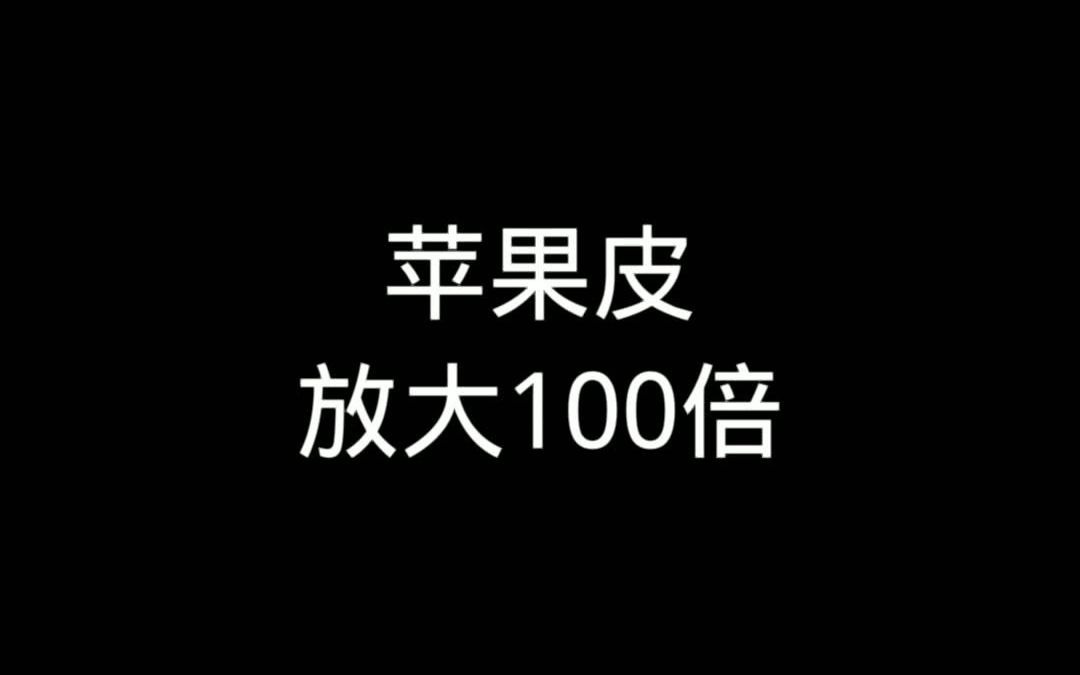 显微镜下将苹果皮放大100倍!哔哩哔哩bilibili