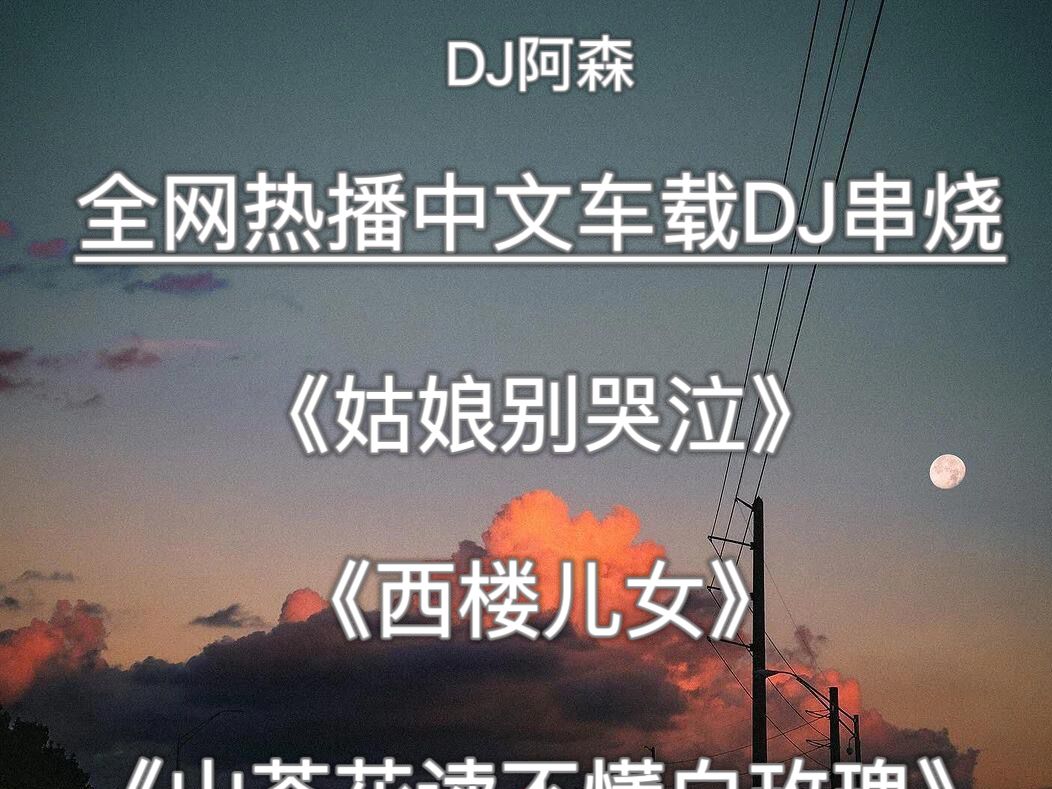 全网热播中文DJ串烧丨 想哭就哭吧,累了就听听歌,戴上耳机,坐在你爱的地方,你会发现生活也许并没有你想象中那么多烦多痛哔哩哔哩bilibili