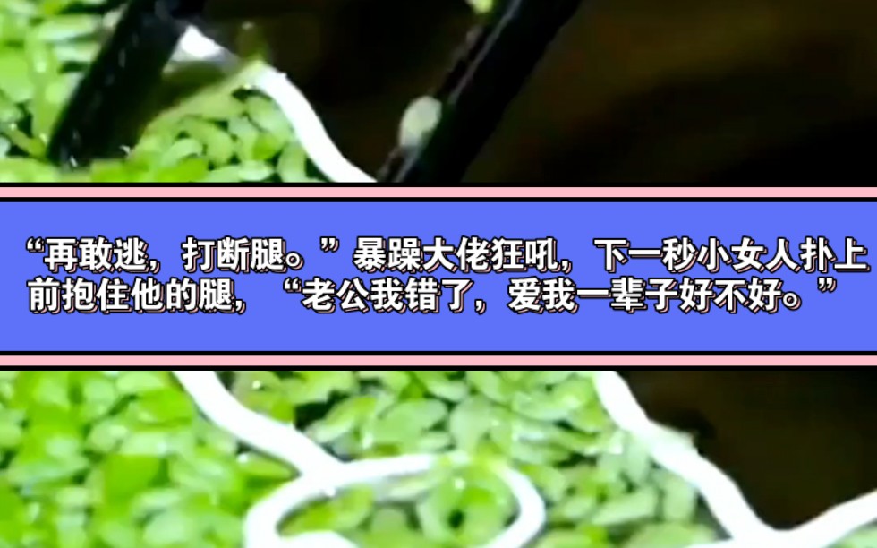 “再敢逃,打断腿.”暴躁大佬狂吼,下一秒小女人扑上前抱住他的腿,“老公我错了,爱我一辈子好不好.”哔哩哔哩bilibili