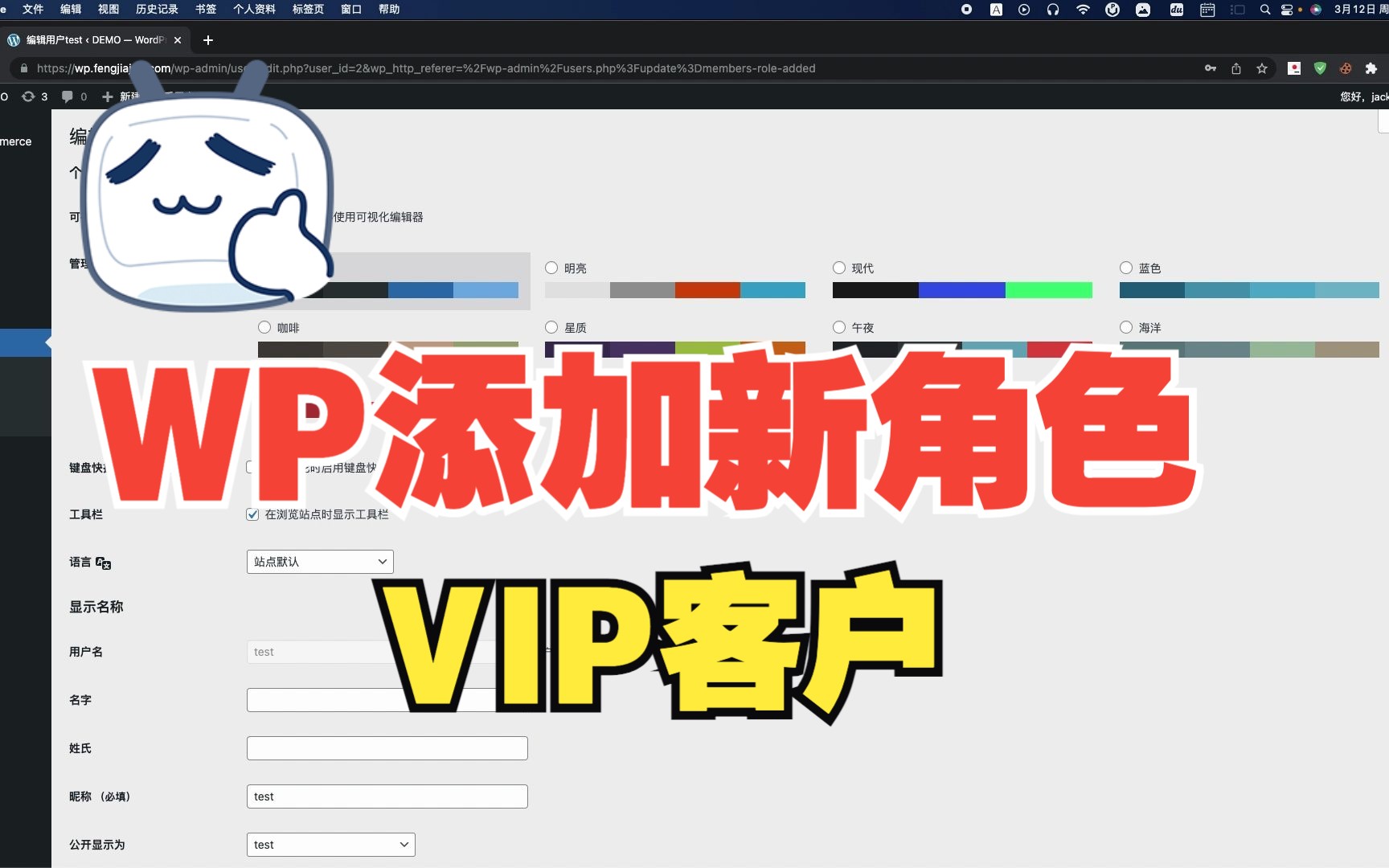 Wordpress 添加【VIP客户】新角色哔哩哔哩bilibili