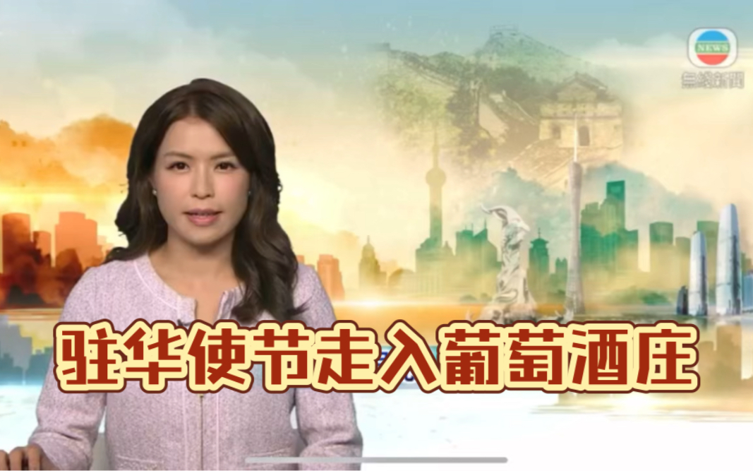 (TVB新闻台)驻华使节走入宁夏葡萄酒庄哔哩哔哩bilibili