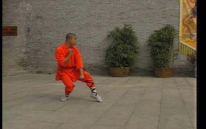 [图]少林 龙拳