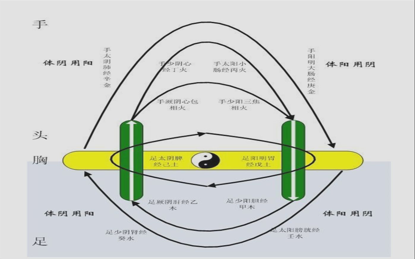 [图]圆运动的古中医学进阶篇[全]