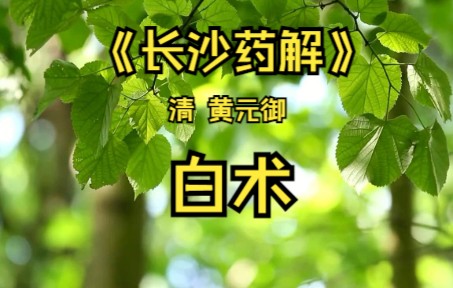 《长沙药解》白术哔哩哔哩bilibili