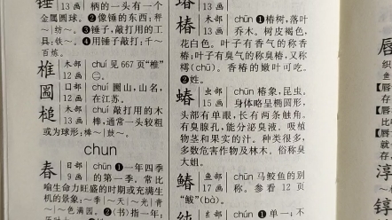 字典读起来(chun)哔哩哔哩bilibili