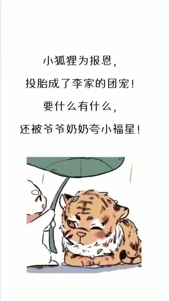 甜文 肉 高 h哔哩哔哩bilibili