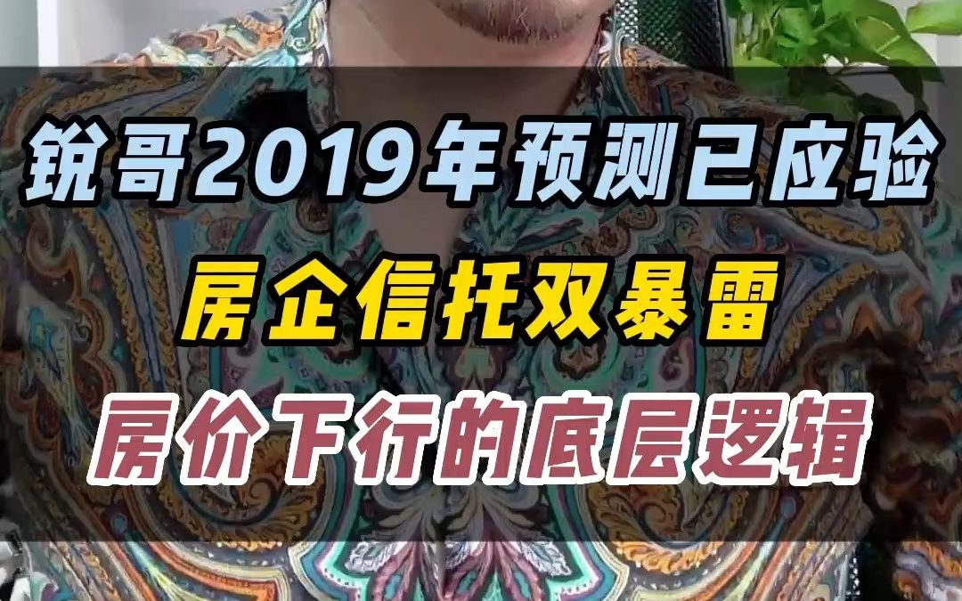 锐哥2019年预测已应验 开发商信托都在暴雷 房价下行其实早有预兆哔哩哔哩bilibili