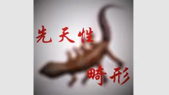【畸形】豹纹守宫的先天性畸形