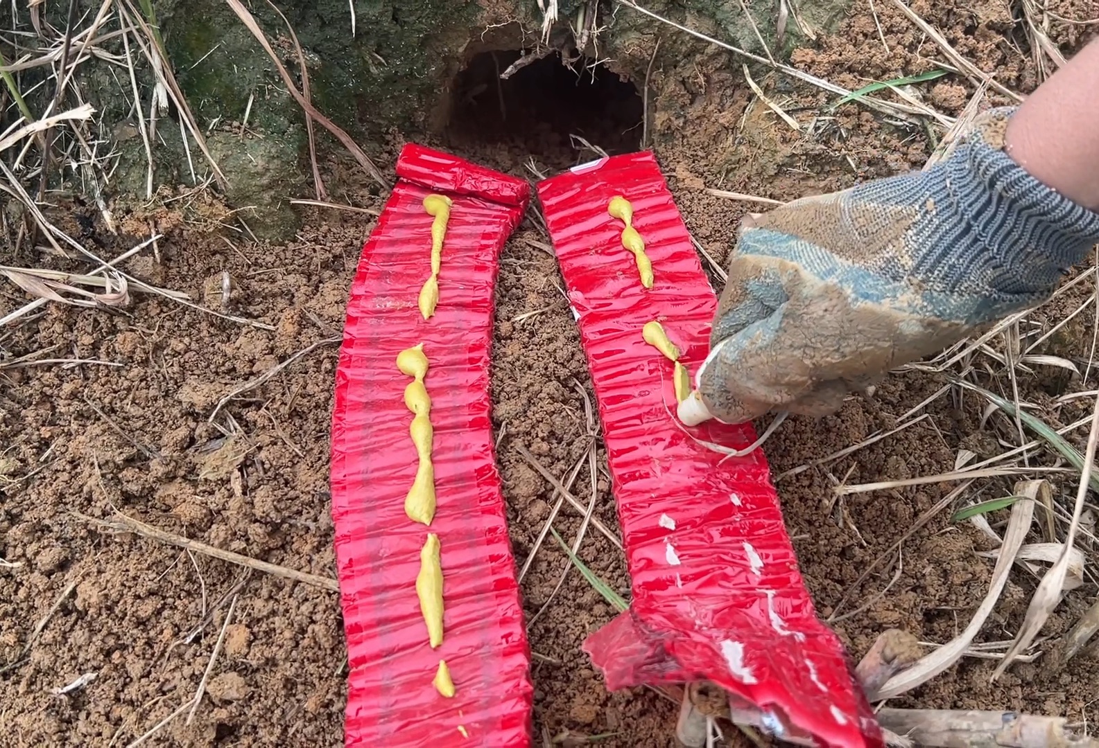 小伙拿600响的"鞭炮"炸老鼠洞,3秒后一跃而岀,这下老鼠可惨了