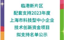 临港新片区配套支持2023年度上海市科技型中小企业技术创新资金项目拟支持名单公示哔哩哔哩bilibili