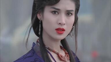 大郑爽 