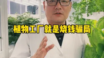 植物工厂就是烧钱骗局