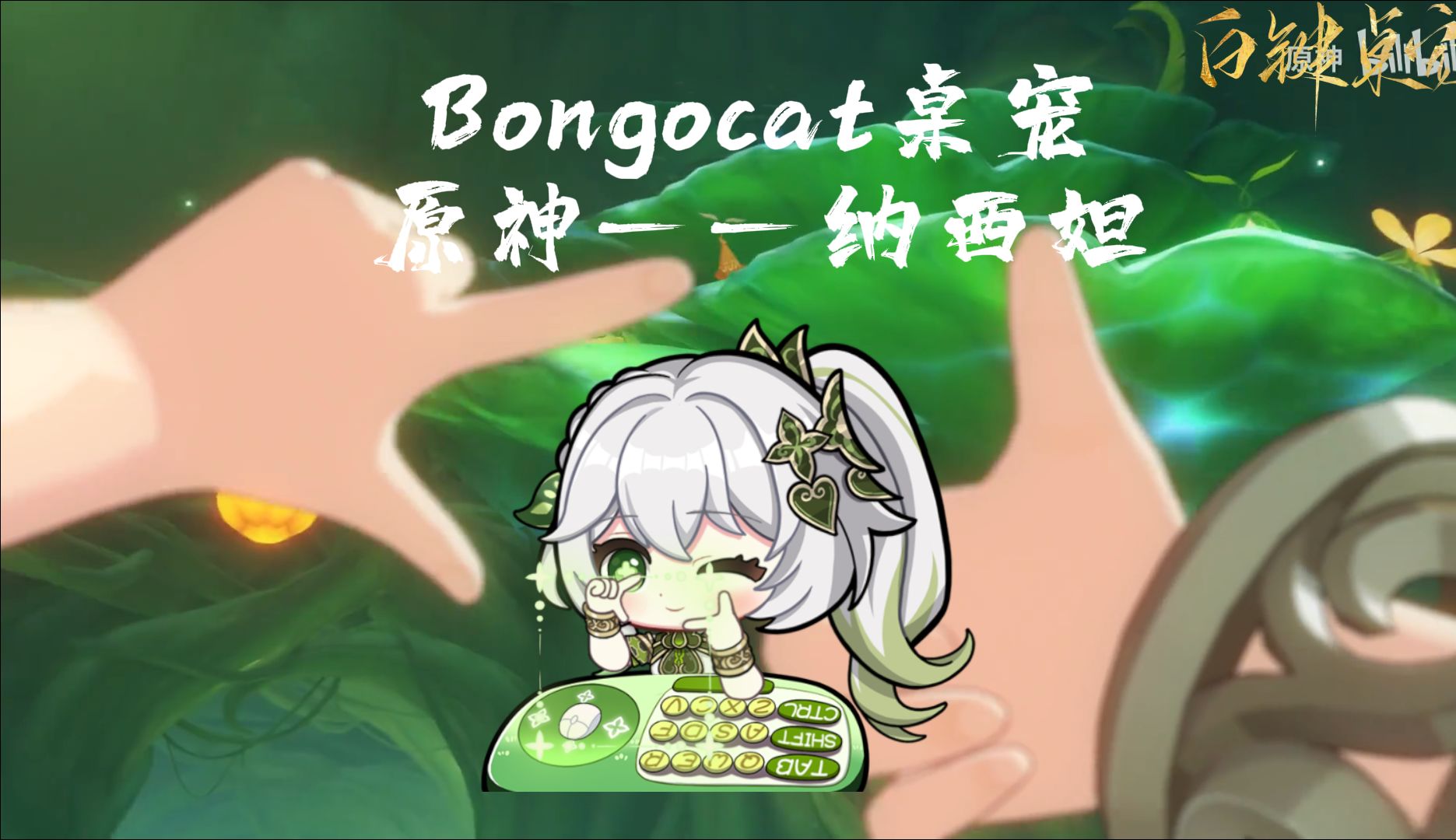 【Bongocat Live2D桌宠/纳西妲】桌宠展示 16键位+11套表情哔哩哔哩bilibili