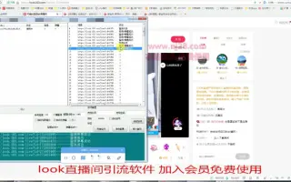 第款网易直播间协议引粉软件使用教程
