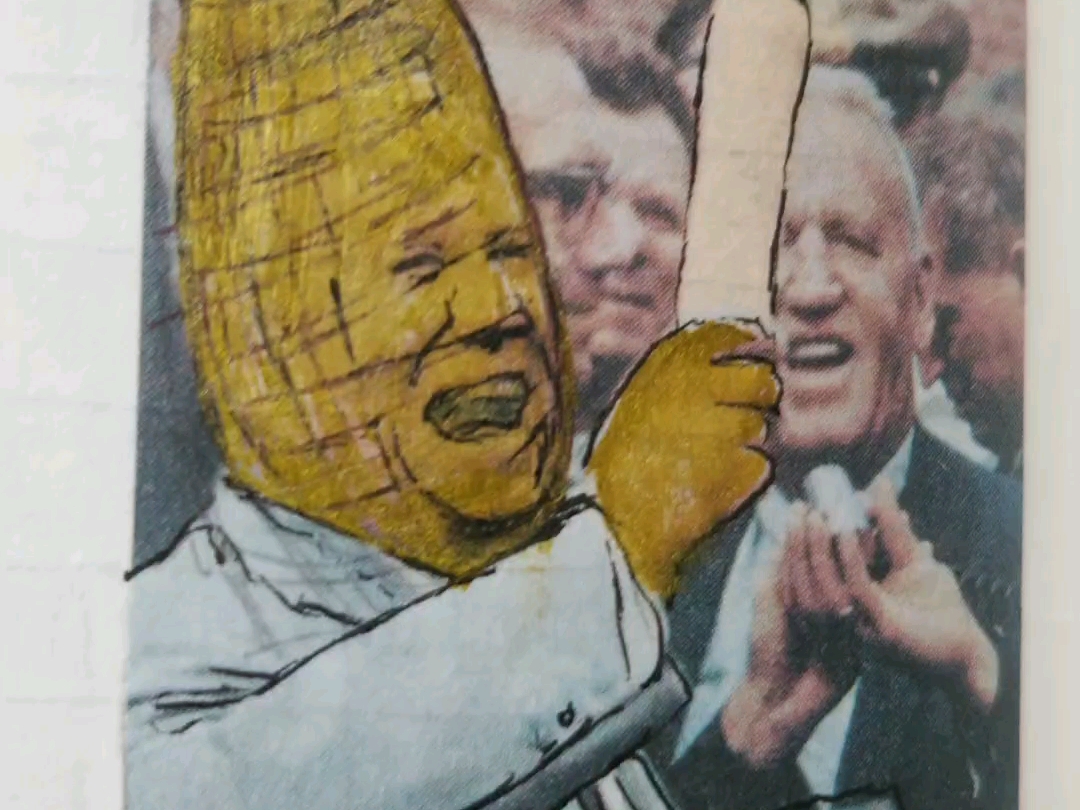 玩波抽象的玉米人