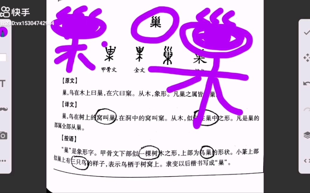 说文解字:巢哔哩哔哩bilibili