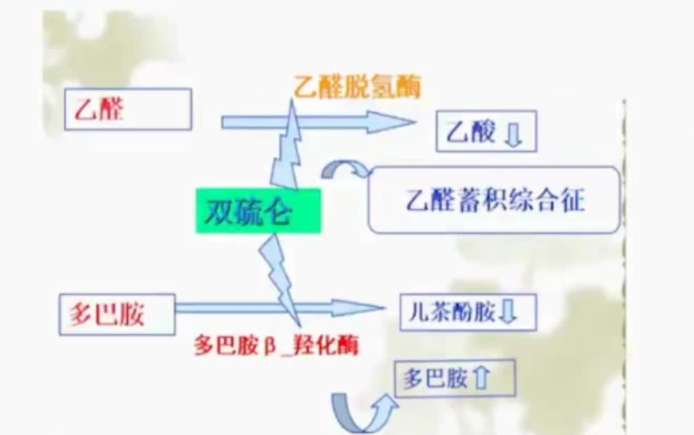 双硫仑样反应2例(突发意识障碍)哔哩哔哩bilibili