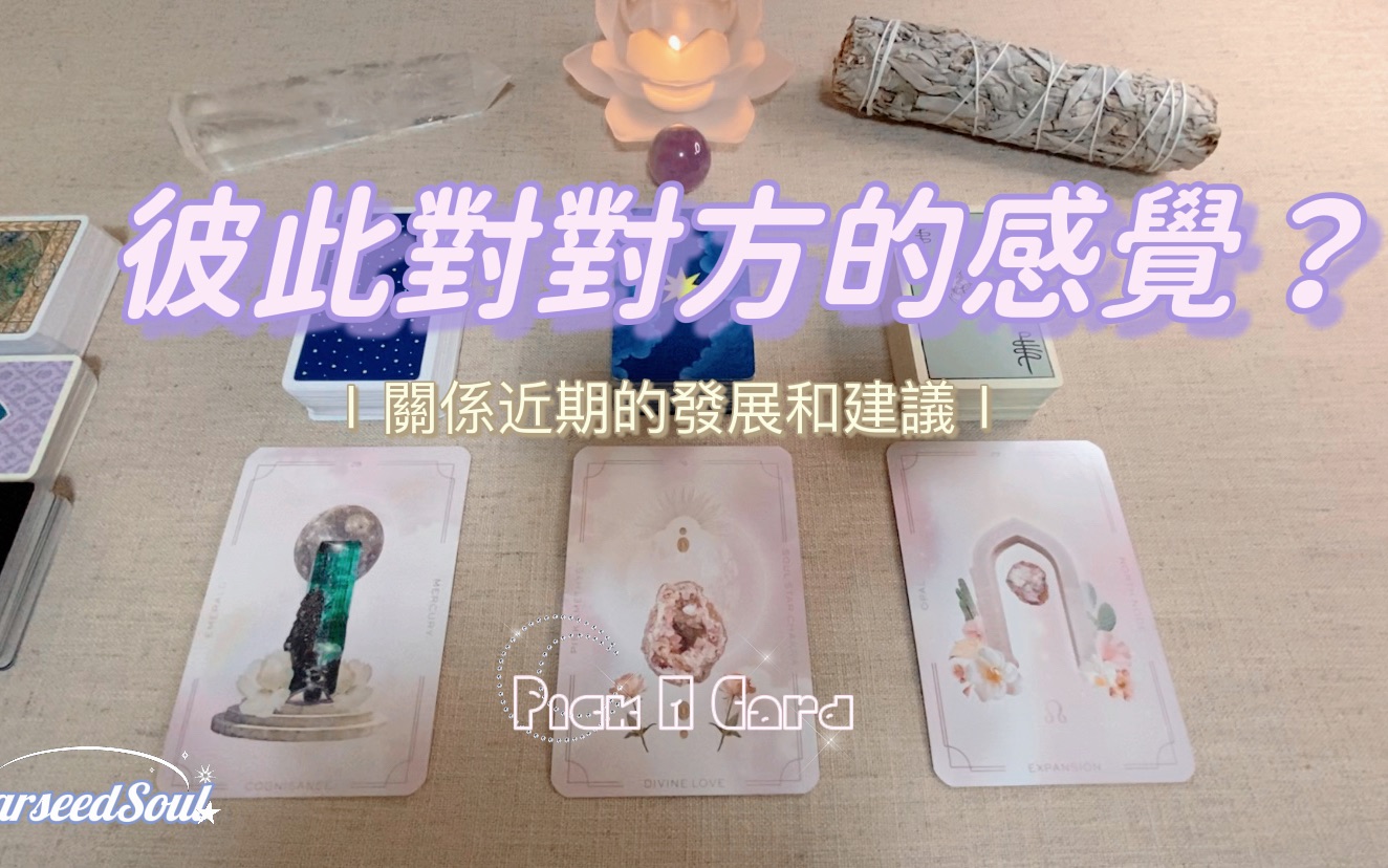 【StarseedSoul】我们彼此对对方的感觉?近期关系的发展和建议哔哩哔哩bilibili