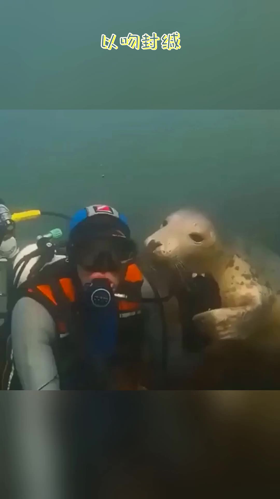 [图]Sealed With A Kiss | 以吻封缄