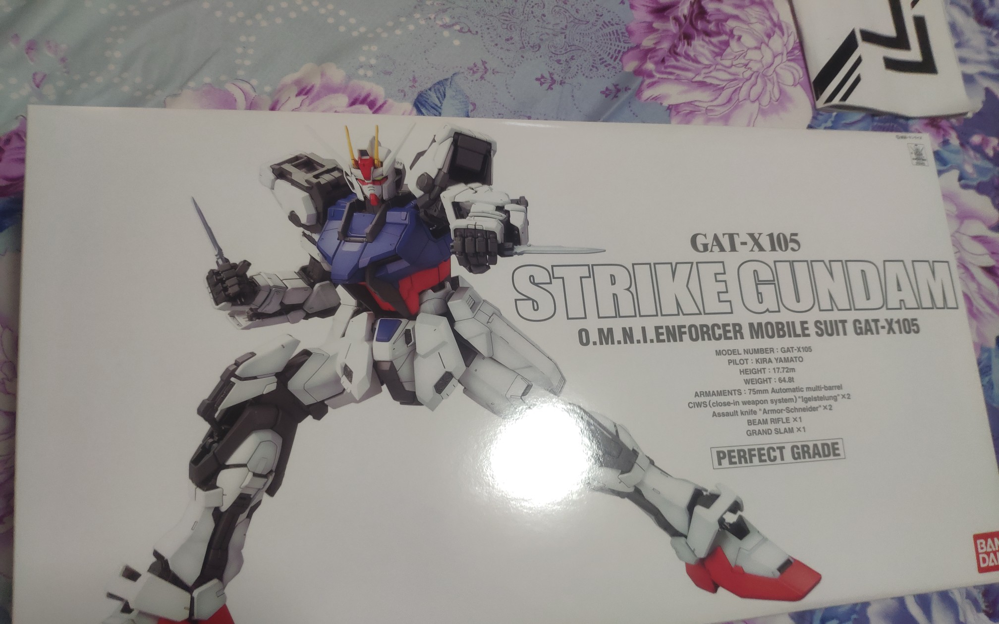 pg强袭高达开箱