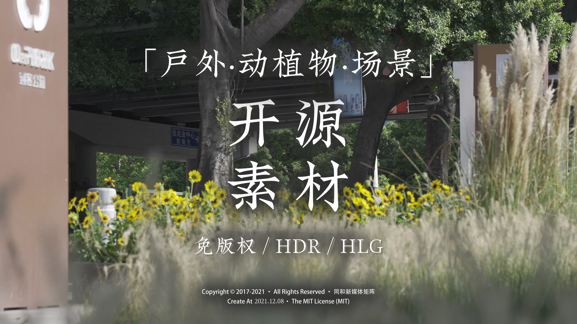 【开源素材/可商用/HDR】动植物桌子人影像素材哔哩哔哩bilibili